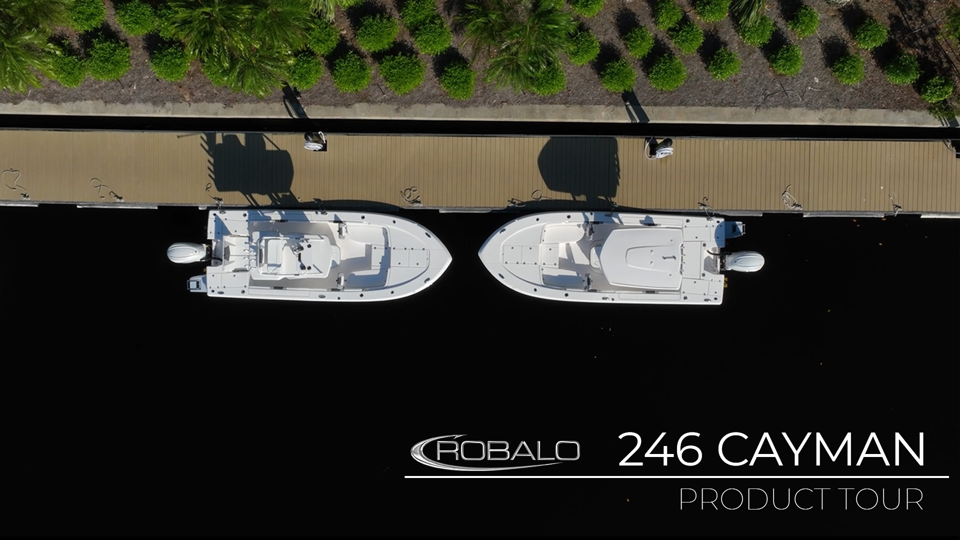 246 Cayman (2024)