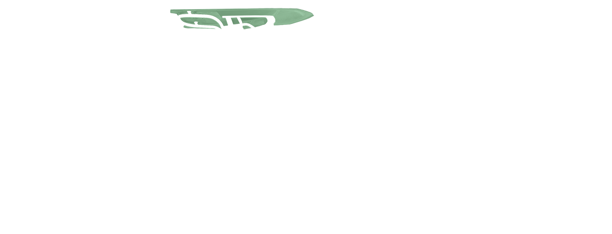 Color Overlay 8921