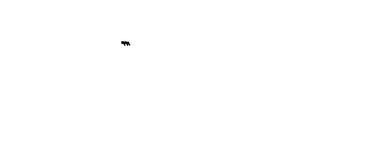 Color Overlay 8721