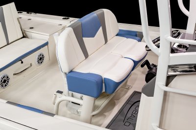 2025 R266 Cayman Sky Deck Leaning Post 1