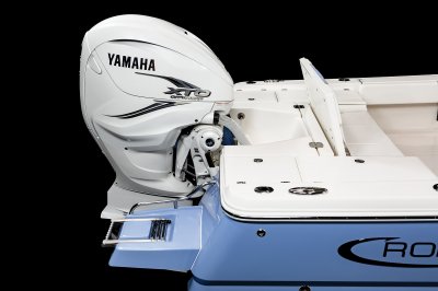 2025 R266 Cayman Sky Deck Swim Platform Ladder