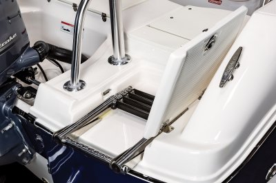 R180 - Platform Ladder