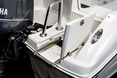 2026 R207 Platform Ladder