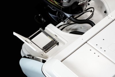 R230 - Swim Platform Ladder