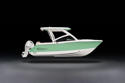 2027 R237 Profile Hardtop