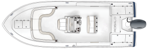 Overhead view of the  Robalo 246 Cayman 