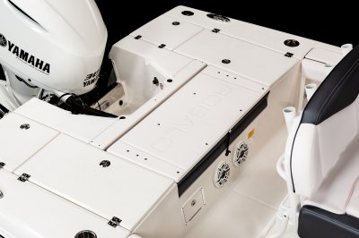 246 Cayman SD - Transom Casting Deck