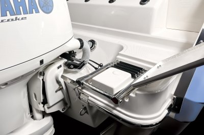 2025 R270 Swim Platform Ladder