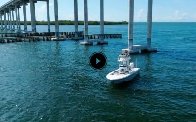 246 Cayman SD (2026) - Feature Highlights