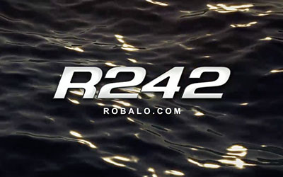 R242 Walkaround (2017)